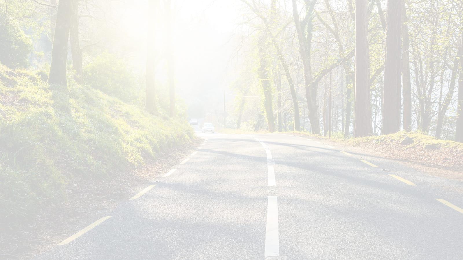 Tree lined road