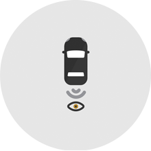 STANDARD REAR VISION CAMERA