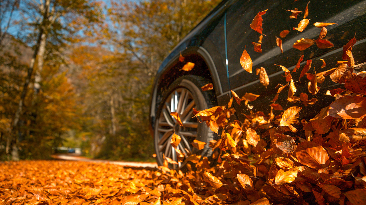 Car driving through fallen leaves