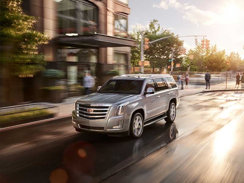 New 2019 Cadillac Escalade