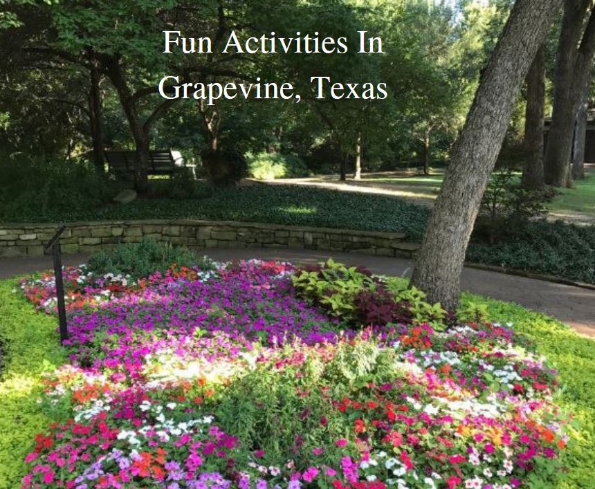 Fun activities