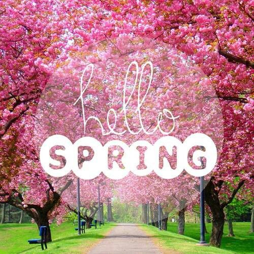 spring clean your car