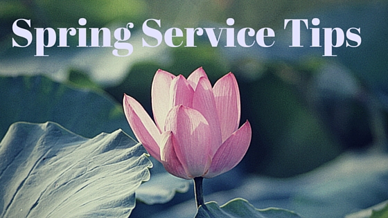 Spring Tips