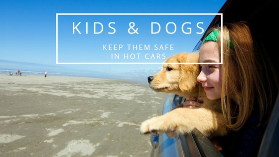 keep kids & dogs safe in hot weather