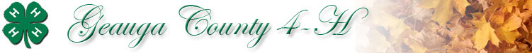 county-4
