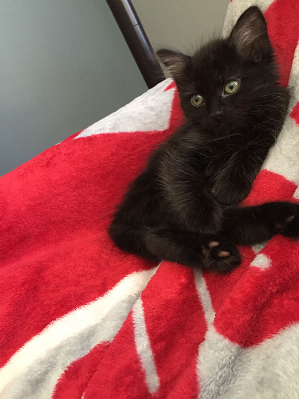 George Chillin