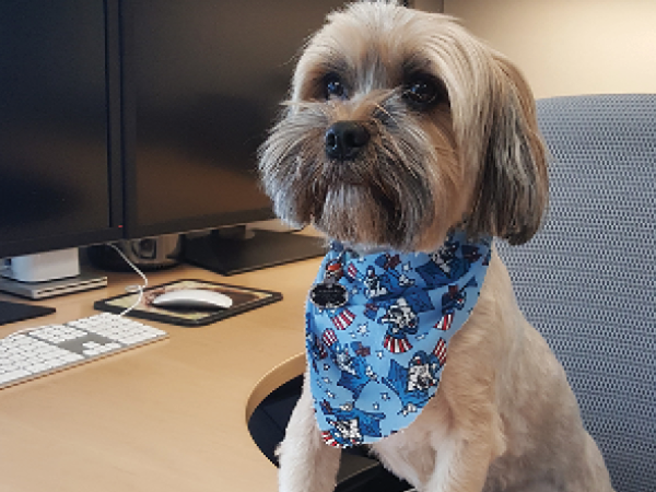 Gizmo Von Woofers - Since 2014