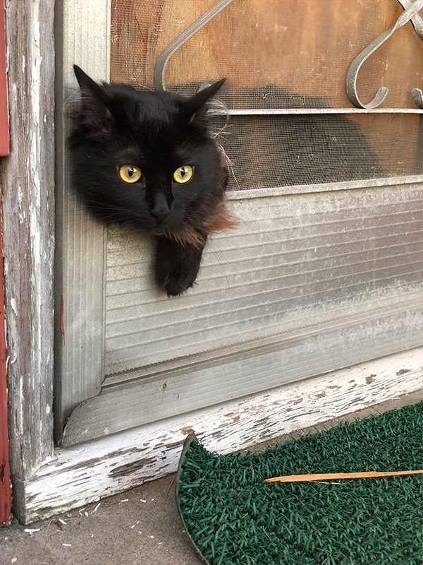 George In Trouble