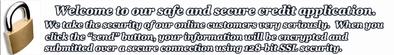 Secure auto finance credit application