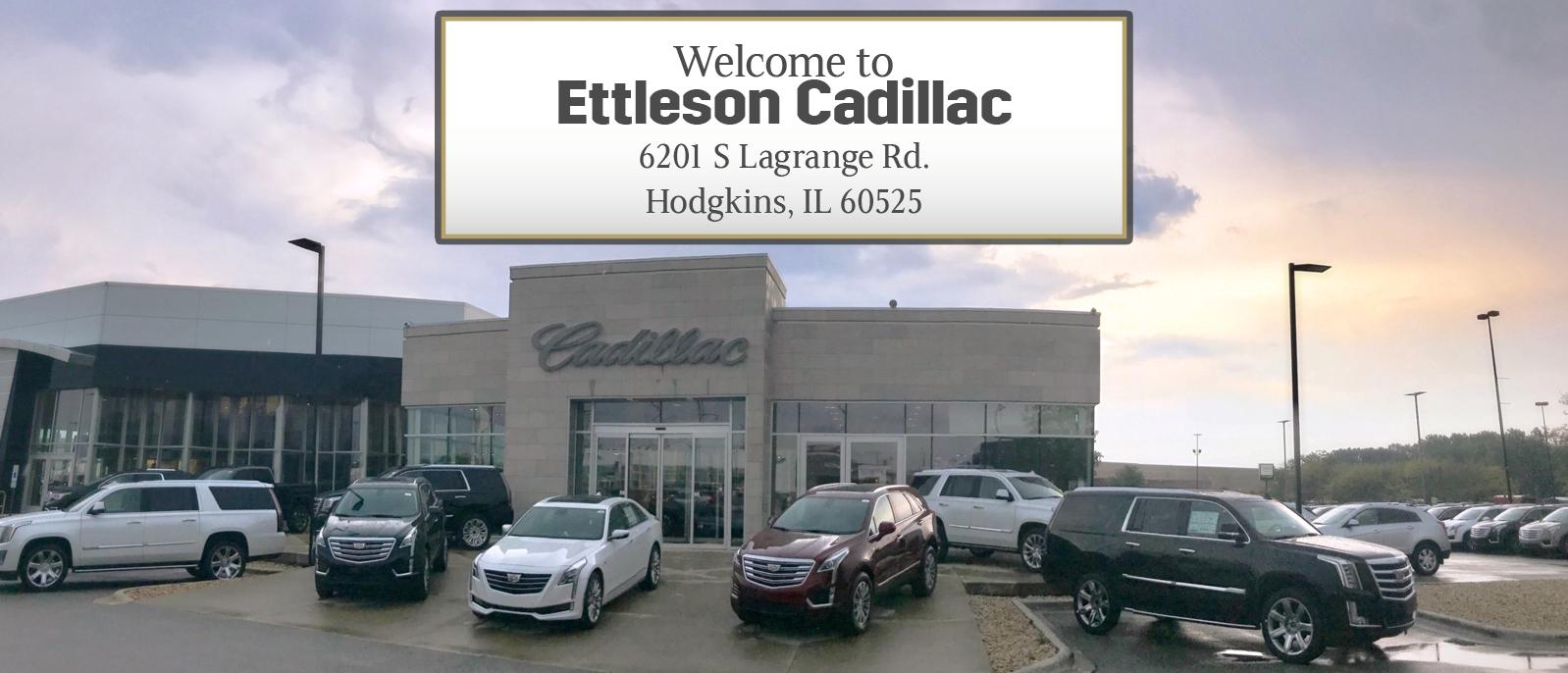 New and Used Vehicles