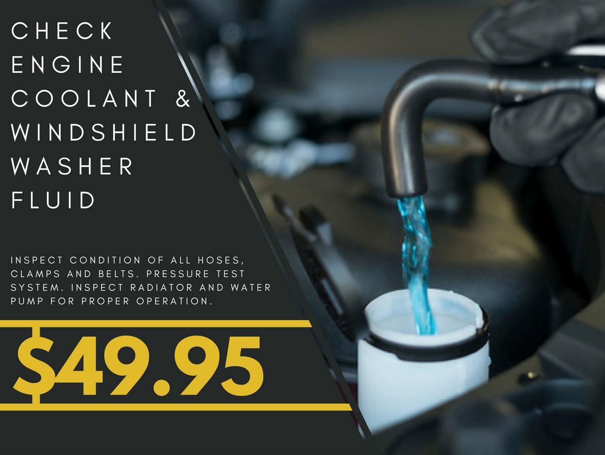 COOLANT AND WASHER SERVICE MENU