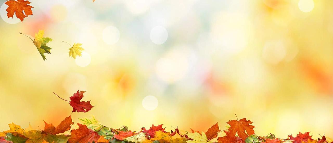 GM Dealership & Used Cars in Wolcott, Auburn NY CavallaroNeubauer