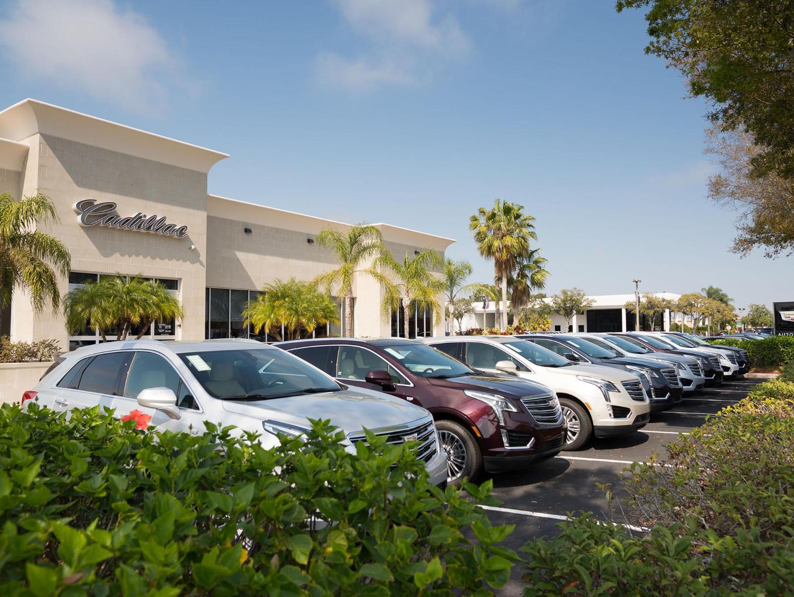 New & Used Cars For Sale In Tampa, FL | AutoNation Cadillac Port Richey