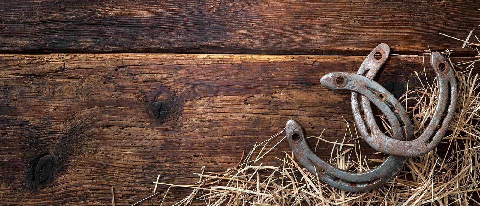 Sundance Buick GMC in SAINT JOHNS, MI Serving Lansing, Owosso