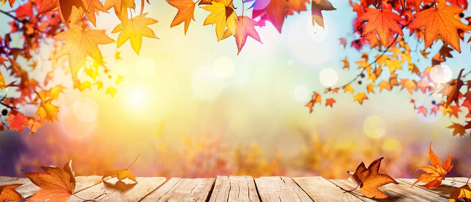 Background Image | Fall Leaves with wood Floor