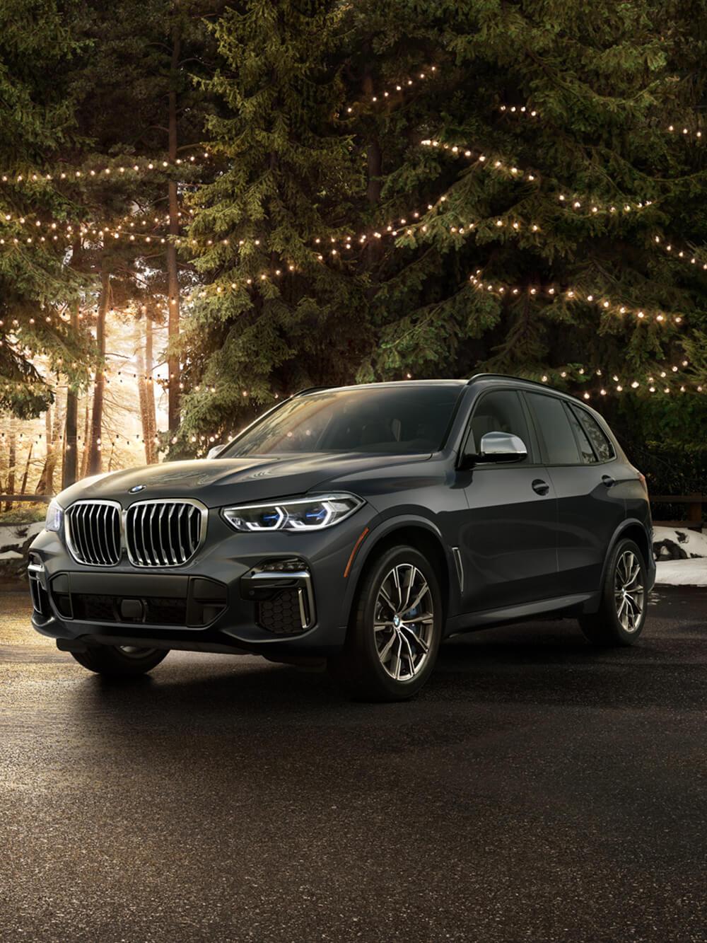 2021 BMW X5 in Forest 2021 BMW X5 in Forest