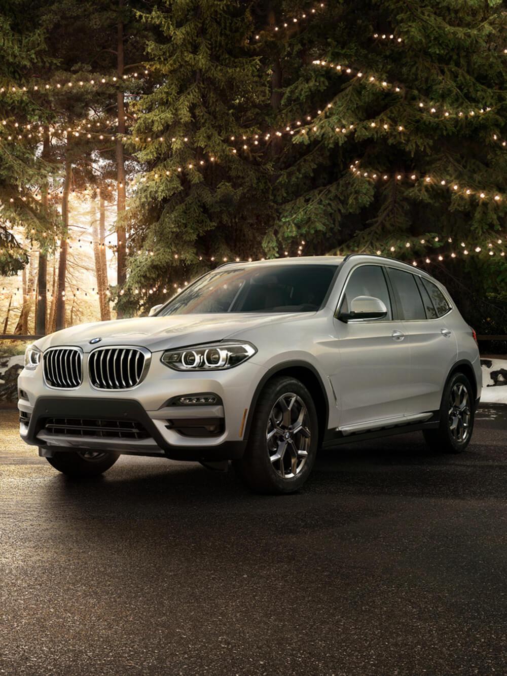 2021 BMW X3 in Forest 2021 BMW X3 in Forest