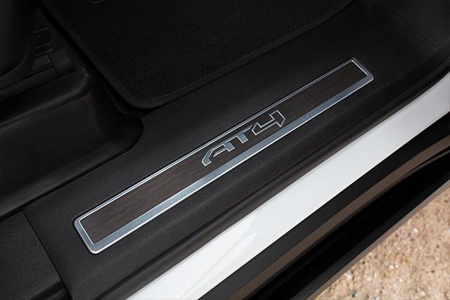 DISTINCTIVE DETAILS