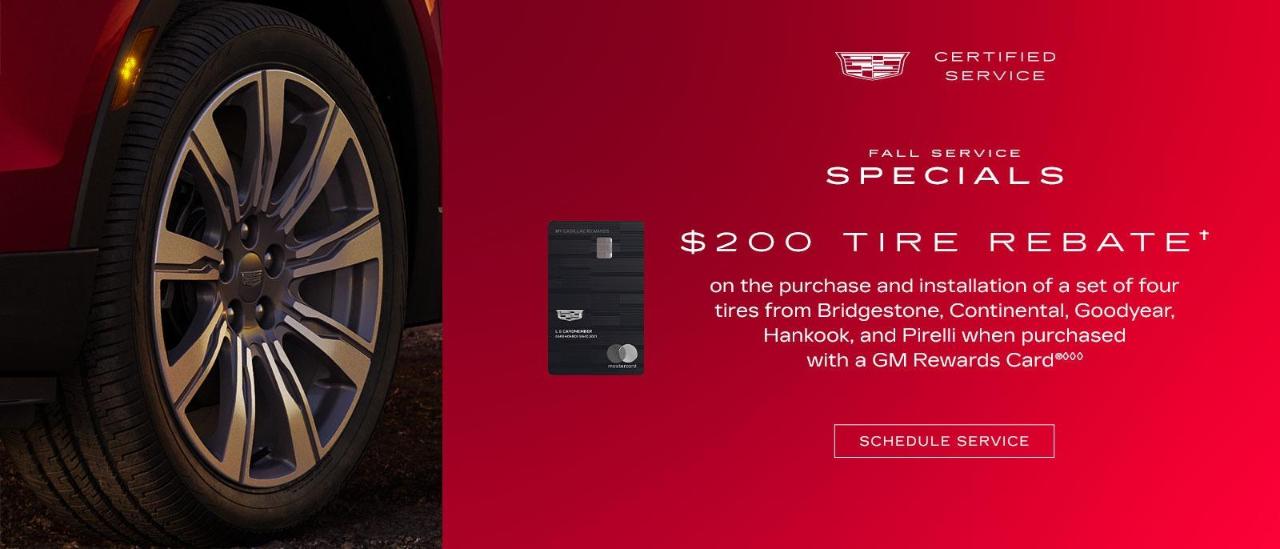 A Premier Santa Cruz, San Jose, CA, and Salinas Dealer Alternative