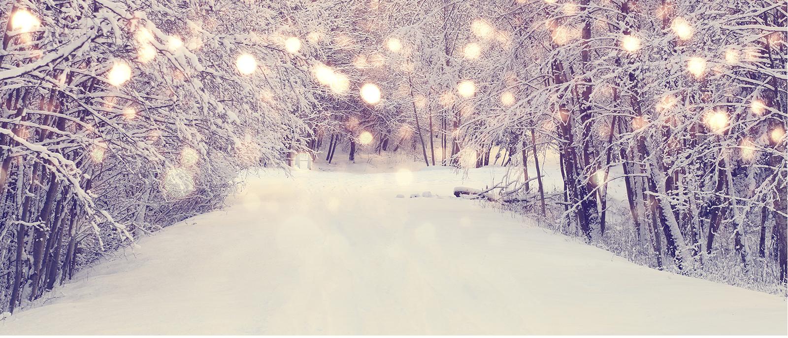 Snowy Path