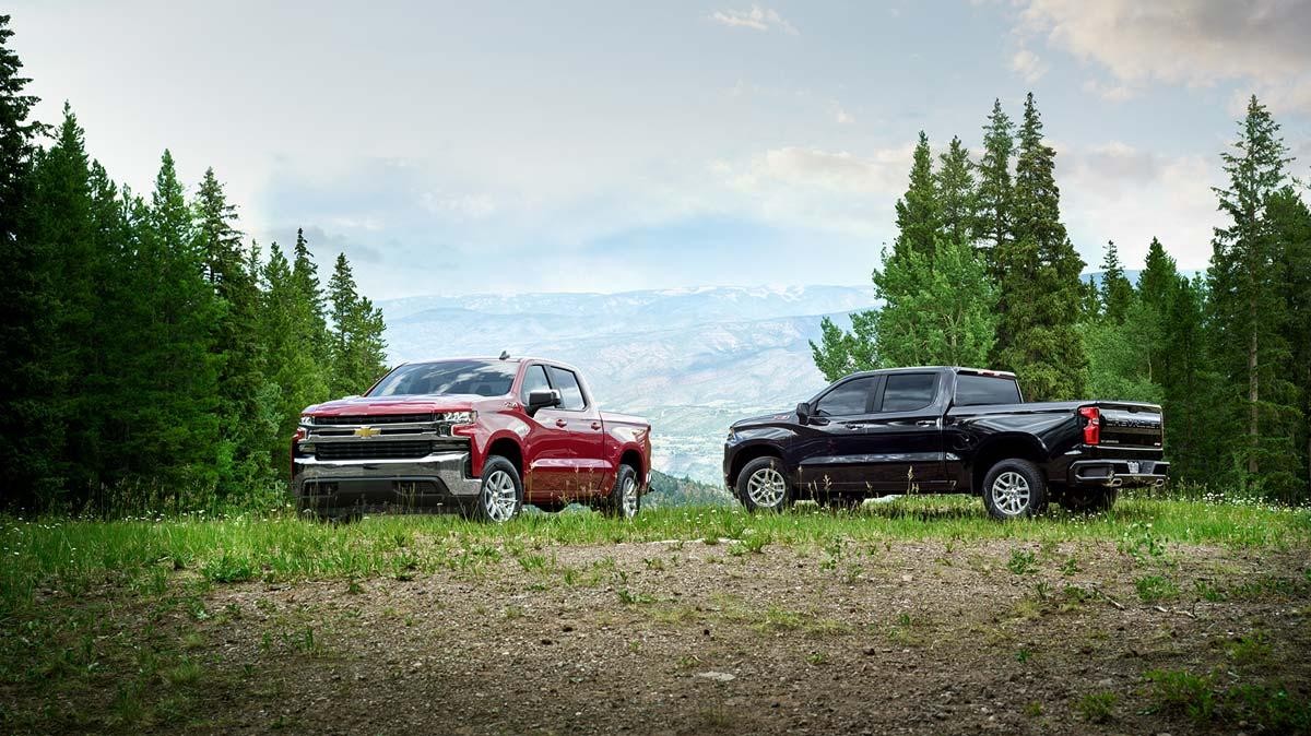 Chevrolet Silverado LD in forest