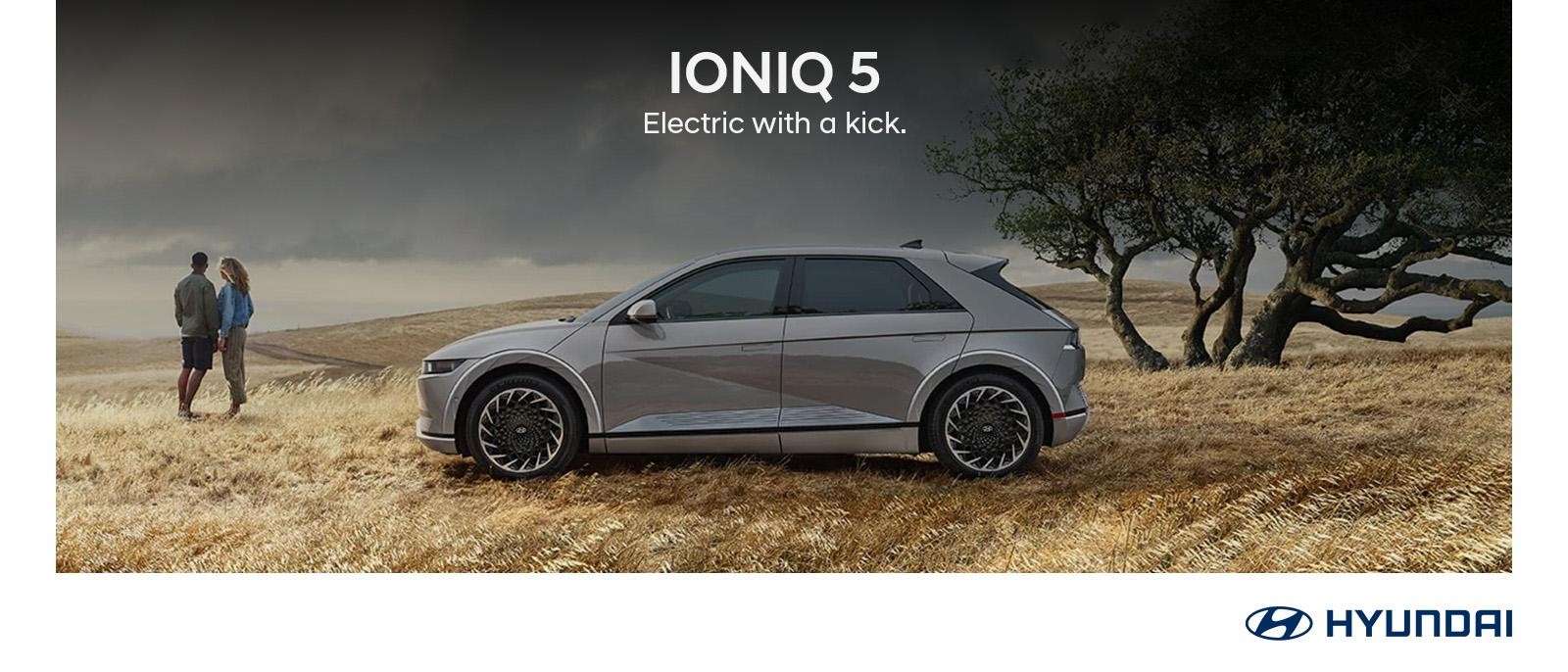 2024 Grey Hyundai Ioniq 5 parked in grass field.