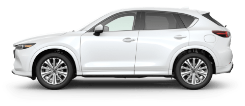 CX-5 Jellybean