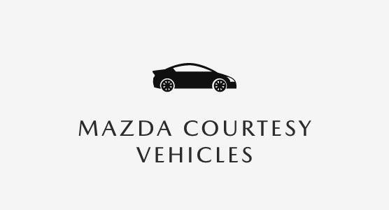 Courtesy Vehicles