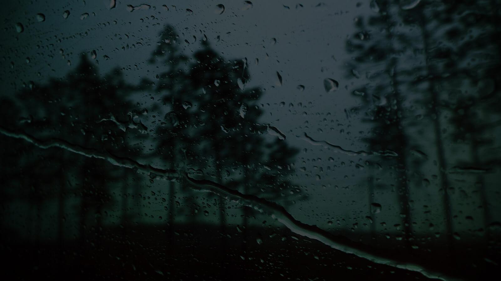 Trees seen through a rain covered windshield