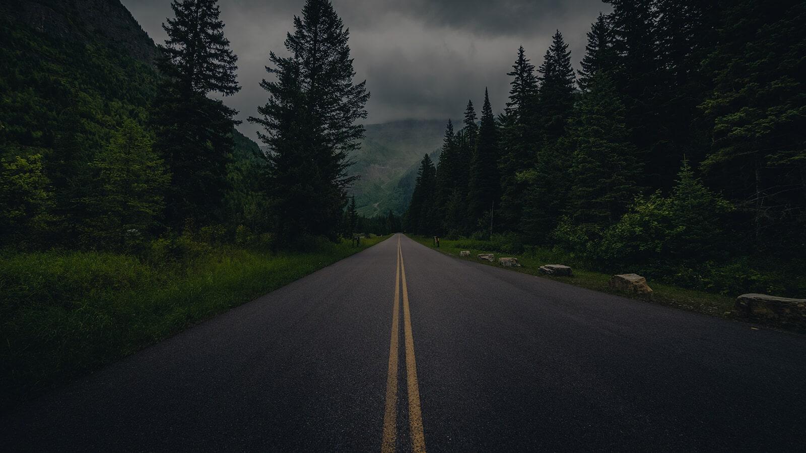 Forest road under a moody sky