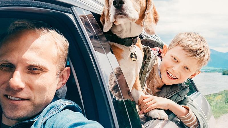 A father and his son driving in their car with the family dog