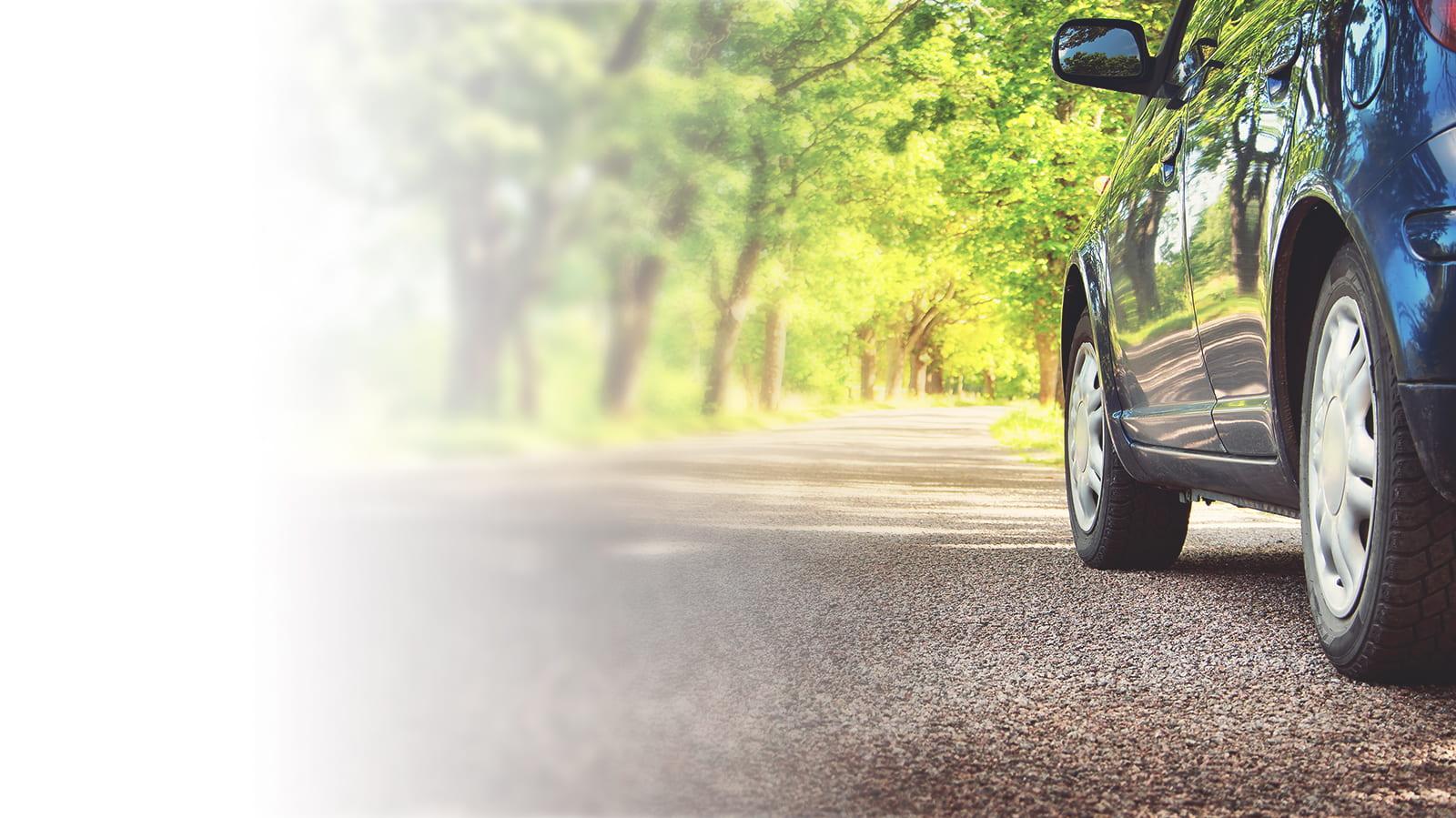 Car on a sunny, tree lined road