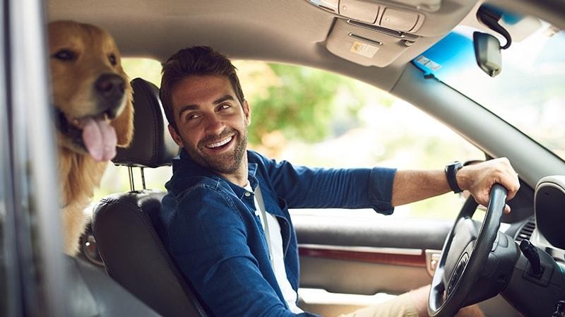 Man driving a car with his dog in the backseat