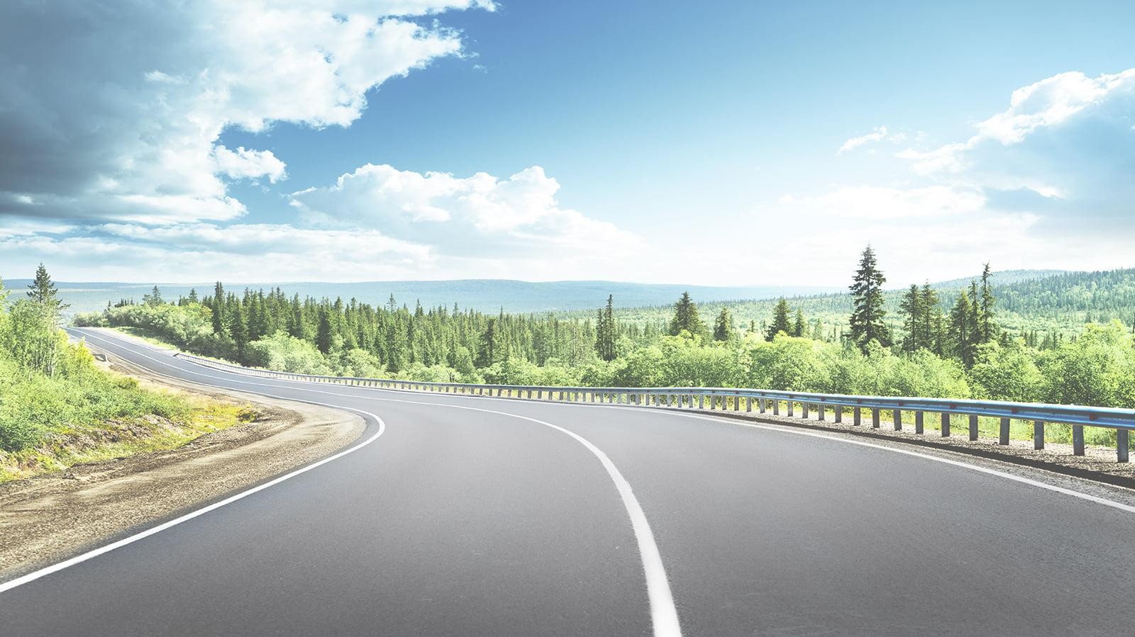 Rural tree lined road