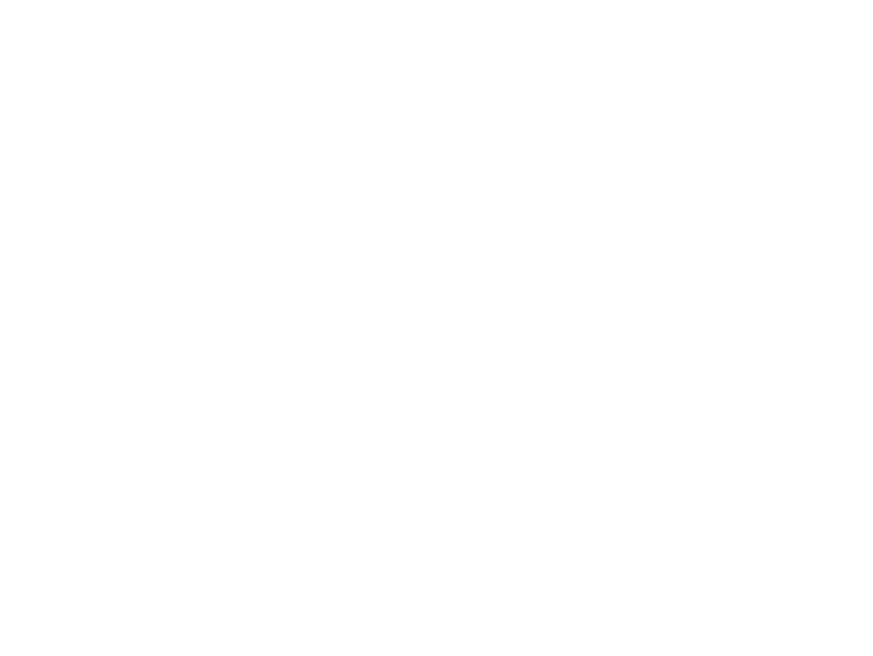 White telephone icon