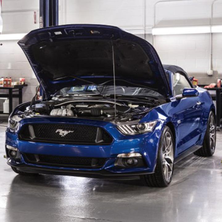 Mustang at Ford Service Center Mustang at Ford Service Center