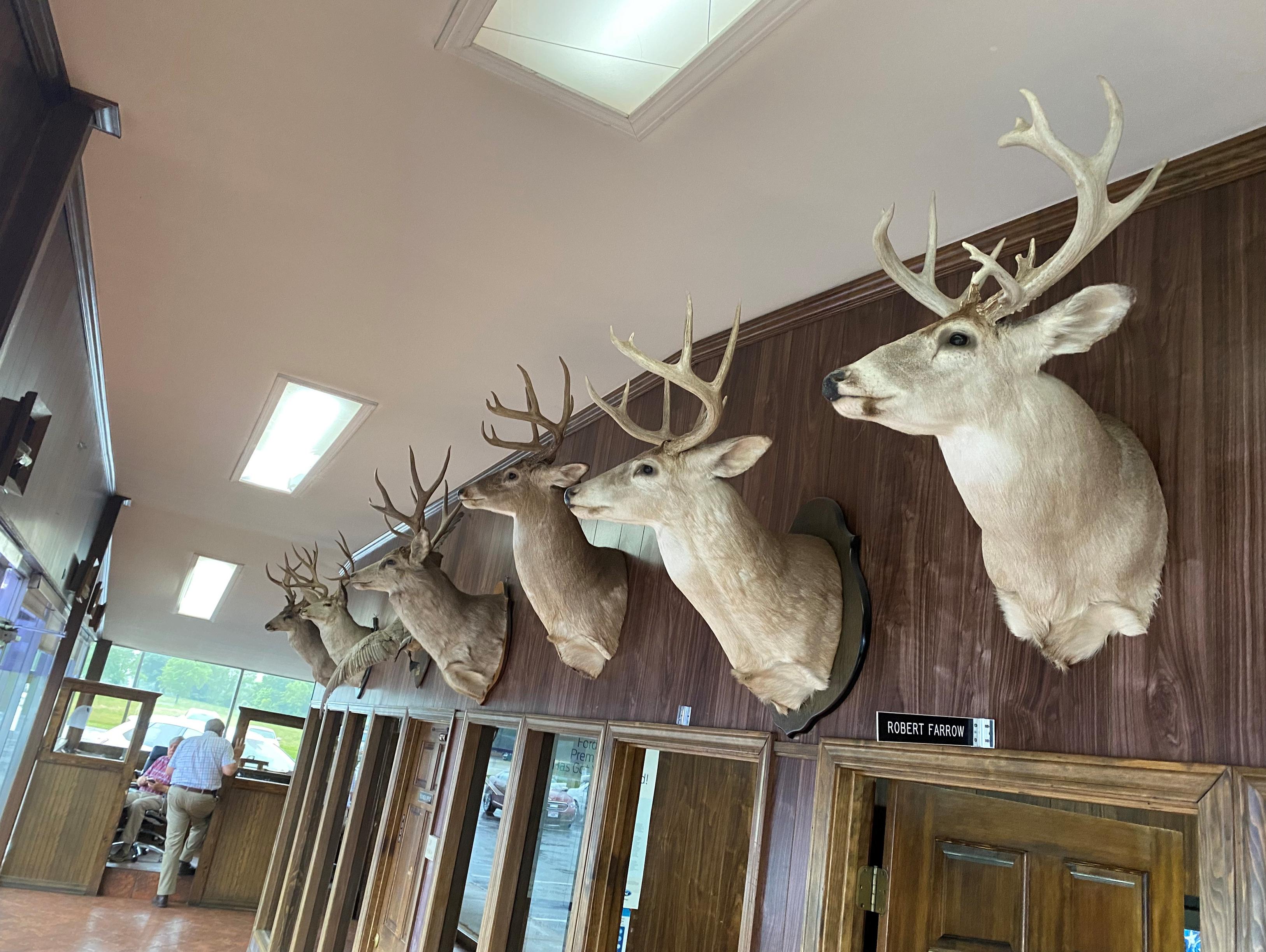 FarrowWard Ford Inc is a Ford dealer selling new and used cars in