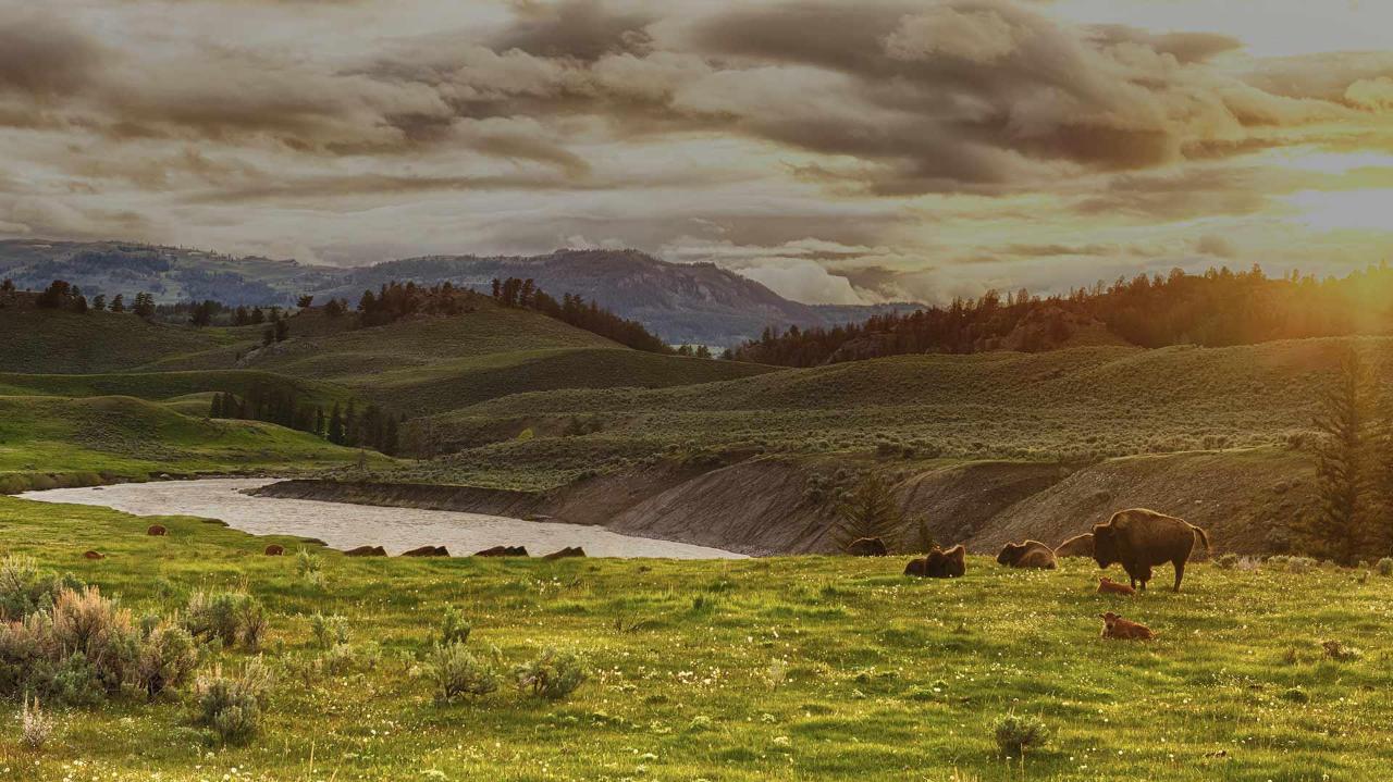 Heberle Ford is a Ford dealer selling new and used cars in Forsyth, MT.