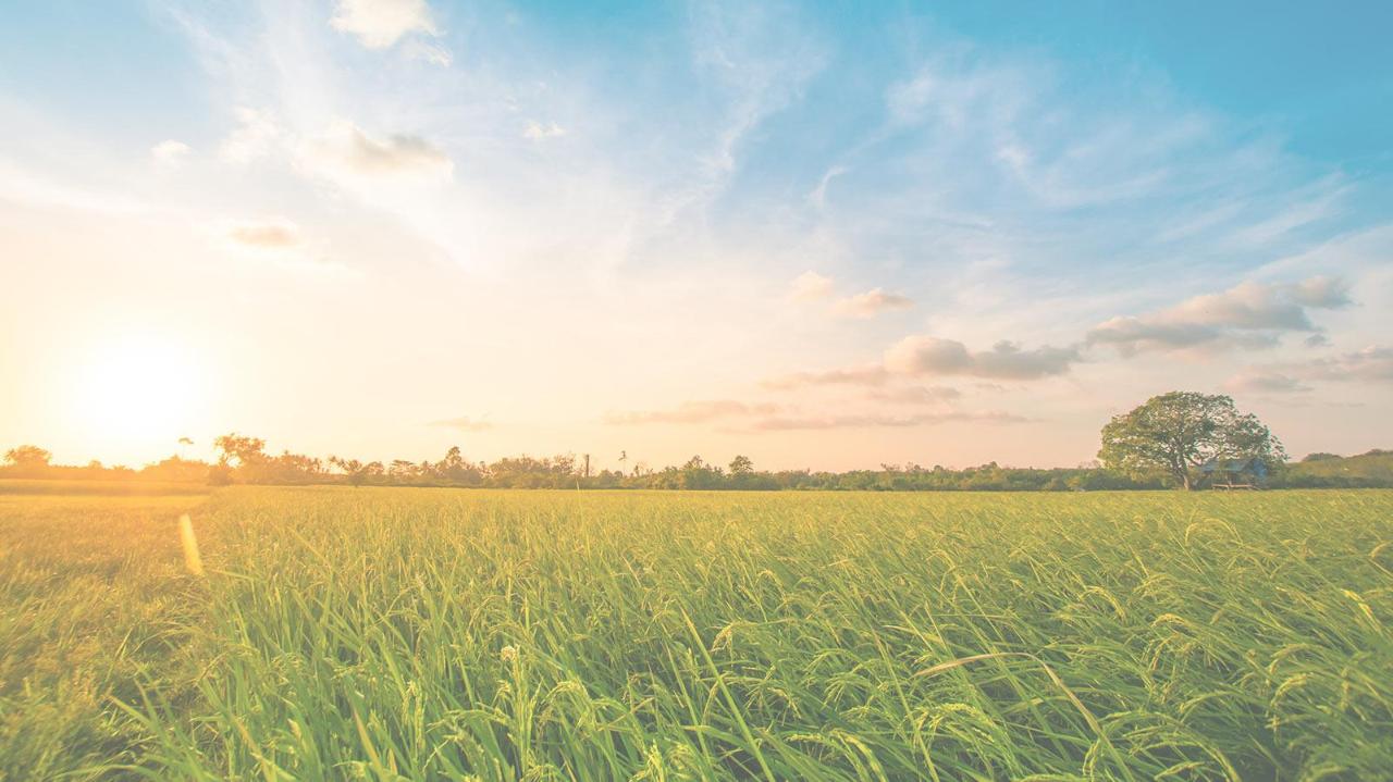 Imperial Country Ford, Inc. is a Ford dealer selling new and used cars