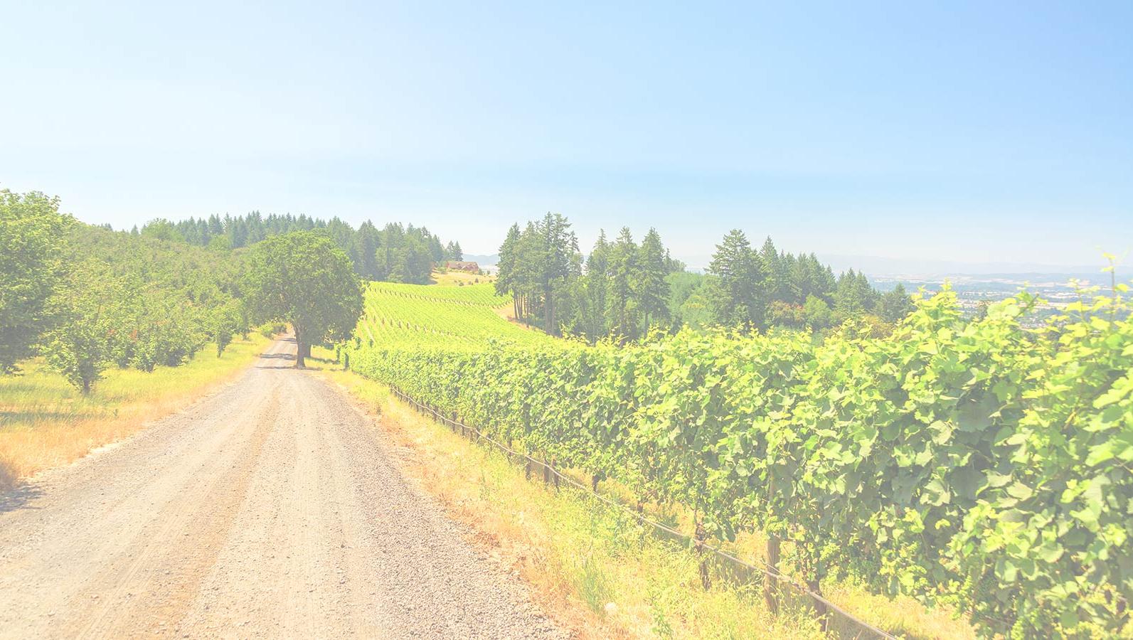 Newberg Is a Great Ford Dealer South of Portland New & Used Cars and