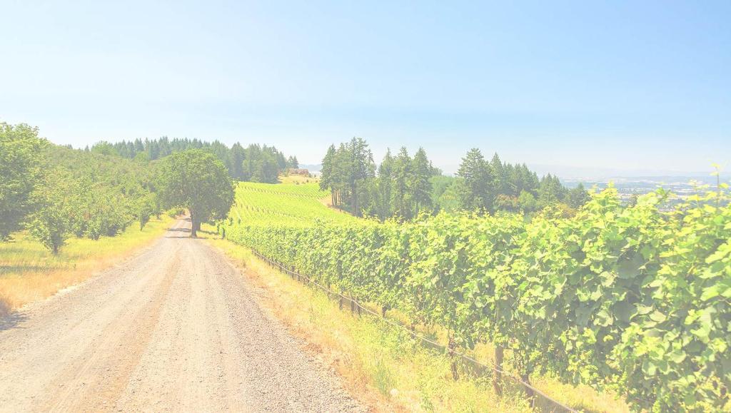 Newberg Ford Ford Dealership in Newberg, OR Local Ford