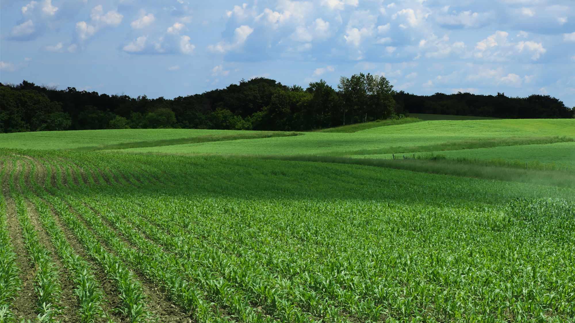 West Bend Ford is a Ford dealer selling new and used cars in West Bend, IA.