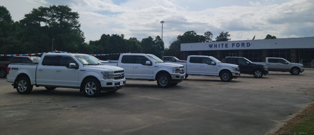 White Ford, L.L.C. is a Ford dealer selling new and used cars in