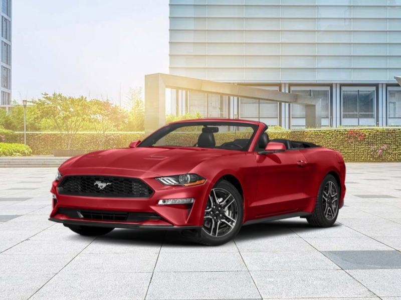 White Ford, L.L.C. is a Winnsboro Ford dealer and a new car and used