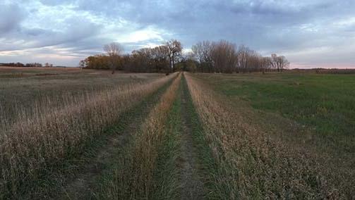 Fall in the Prairies
