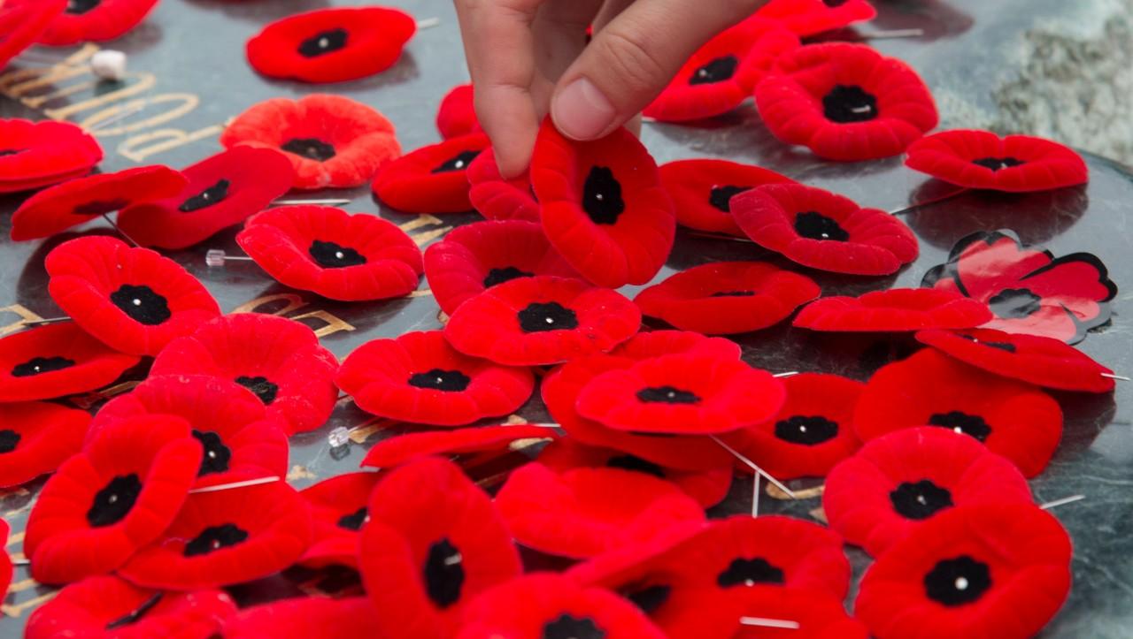 its november in saskatchewan at wheaton chevrolet. got your poppy?