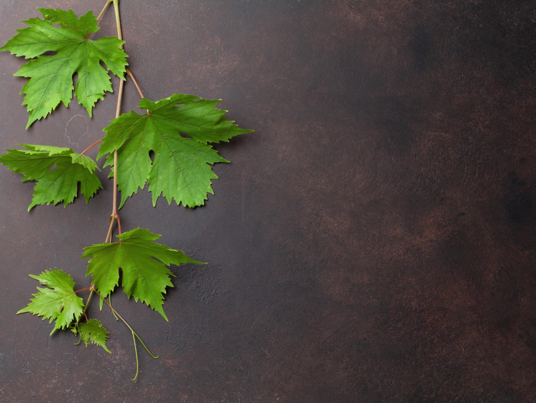 Your Chevrolet Headquarters