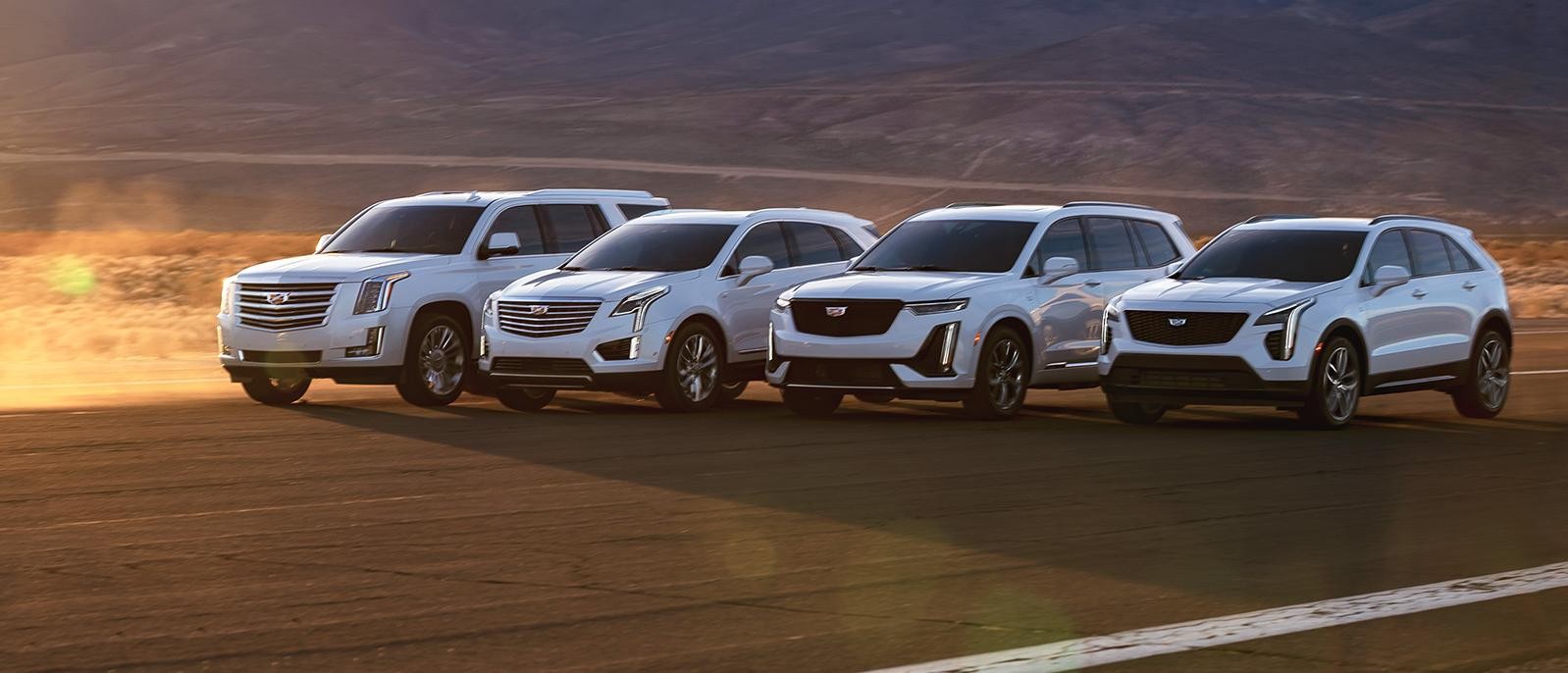 cadillac SUV lineup