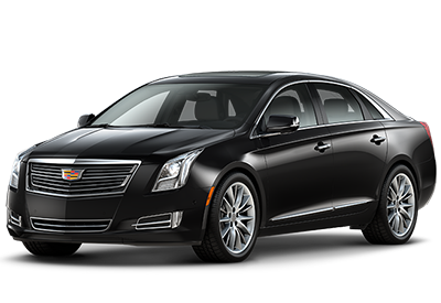 XTS Jelly