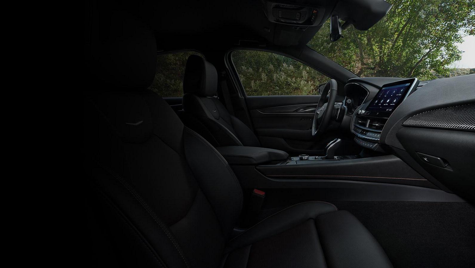 Vehicle Interior